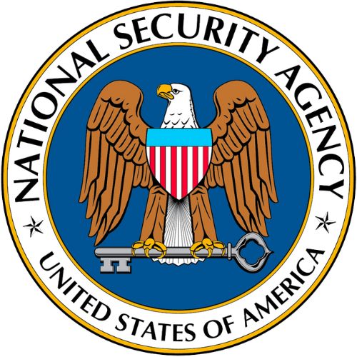 nsa logo